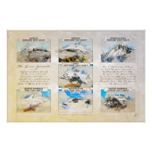 7 Summits ポスター (正面)