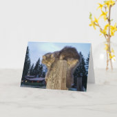 7"x5"折り畳みカード ||キャセティック猫 カード (黄色い花)