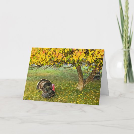 7"x5"折り畳みカード ||ツリーの下のトルコ カード (正面)