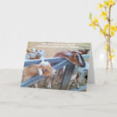 7"x5"折り畳みカード ||ヘイヘイ!俺のは? カード (黄色い花)