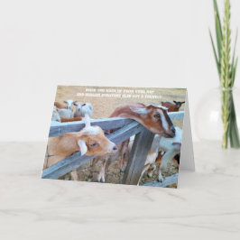 7"x5"折り畳みカード ||ヘイヘイ！俺のは？ カード