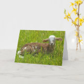 7"x5"折り畳みカード||ランビーの斥候 カード (黄色い花)