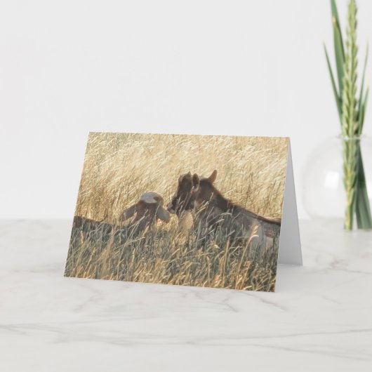 7"x5"折り畳みカード||斥候とジグソー カード (正面)