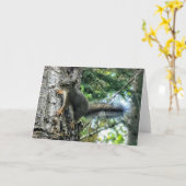 7"x5"折り畳みカード || Tree Squirrel写真絵を描 カード (黄色い花)