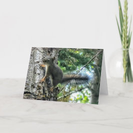 7"x5"折り畳みカード || Tree Squirrel写真絵を描 カード