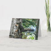 7"x5"折り畳みカード || Tree Squirrel写真絵を描 カード (正面)