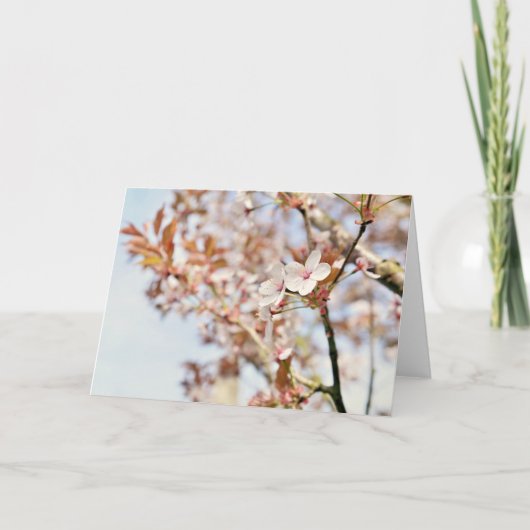 7 x 5インチグリーティ空白のングカード シーズンカード (正面)