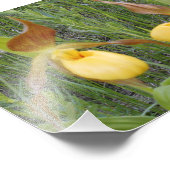 7x5フォトプリント フォトプリント            (角)