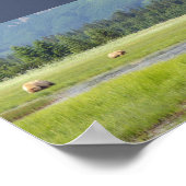 7x5ポスター（マット）、グリズリーベアとカブつき ポスター (角)