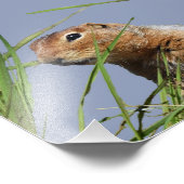 7x5 Kodakプロフェッショナルフォト紙(Satin) フォトプリント (角)