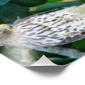 7x5 Kodakプロフェッショナルフォト紙(Satin) フォトプリント (角)