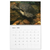 8か月のオーストラリアの淡水のカメのカレンダー カレンダー (3月 2026)