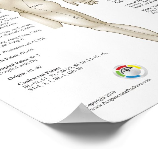 8つのつぼ特別経絡 ポスター (角)