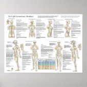 8つのつぼ特別経絡 ポスター (正面)