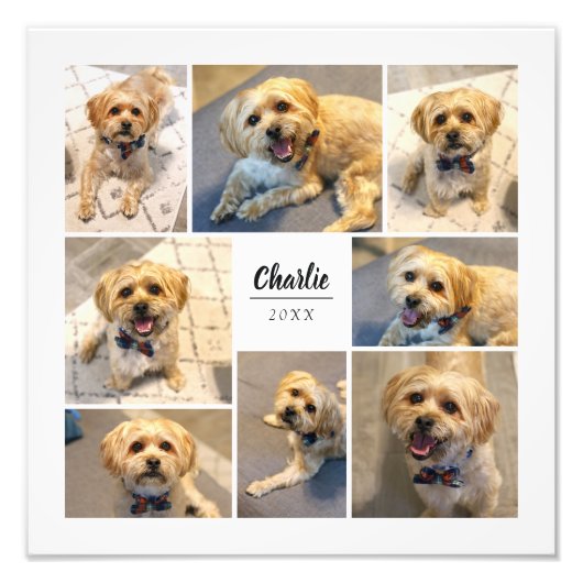 8フォトコラージュパーソナライズされたフォトプリント フォトプリント (正面)