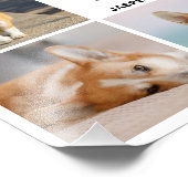 8フォトコラージュPet思い出の写真の拡大 フォトプリント (角)
