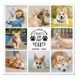 8フォトコラージュPet思い出の写真の拡大 フォトプリント