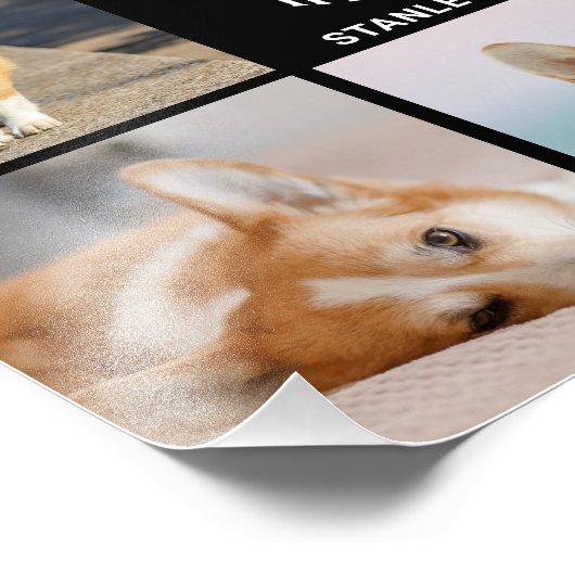 8フォトコラージュPet思い出の写真の拡大 フォトプリント (角)