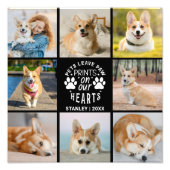 8フォトコラージュPet思い出の写真の拡大 フォトプリント (正面)