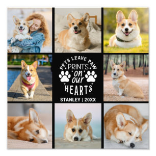 8フォトコラージュPet思い出の写真の拡大 フォトプリント
