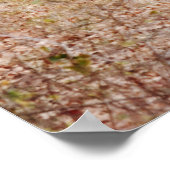 8ポイントワイルドディアバック写真アートプリント ポスター (角)