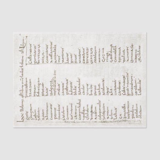 8世紀の園芸植物 薄葉紙 (正面)