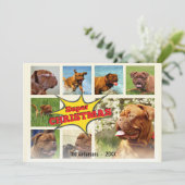 8写真ファミリーフォト✨カスタムクリスマス シーズンカード (スタンド正面)