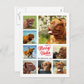 8写真ファミリーフォト✨コラージュカスタムクリスマス シーズンポストカード (正面/裏面)