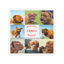 8写真ファミリーフォト✨モノグラカスタムム メタルプリント