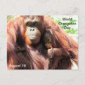 8月19日 世界オランウータンの日 ポストカード (正面)