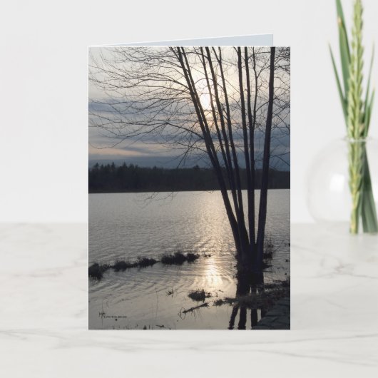 8本の細い棒 カード (正面)