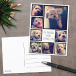 8枚の写真カスタムでフォトコラージュを作成する ポストカード<br><div class="desc">写真やお気に入りの写真を使って、友達と共有するおもしろいを保存する。</div>