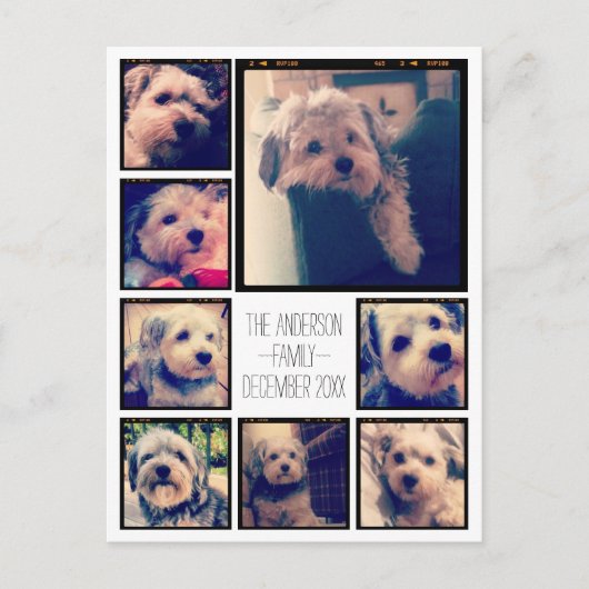 8枚の写真カスタムでフォトコラージュを作成する ポストカード (正面)