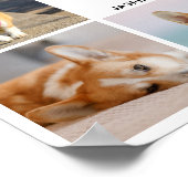 8枚の写真コラージュ ハート 私は私の犬を愛しています ポスター (角)