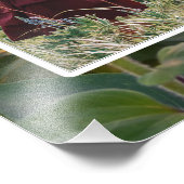 8枚の写真「祖父母が人生を壮大にする」 フォトプリント            (角)