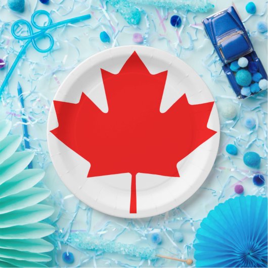 8枚の紙皿のカナダ日のプライドセット ペーパープレート (パーティー)