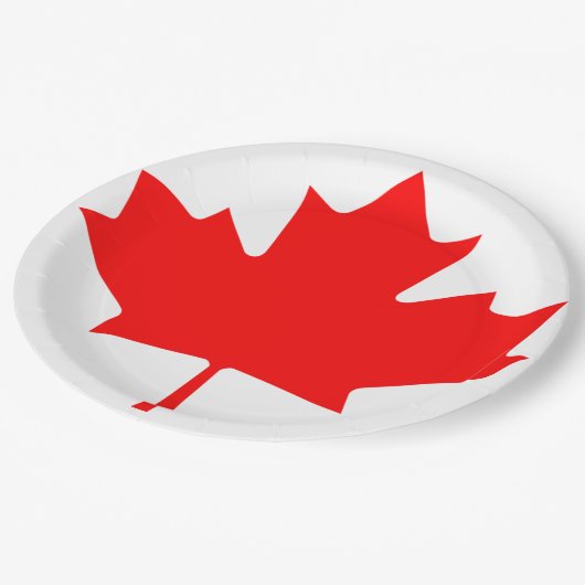 8枚の紙皿のカナダ日のプライドセット ペーパープレート (アングル)