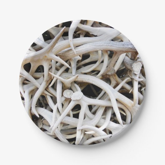 8紙プレートエルク〔雄ジカの〕枝角 ペーパープレート (正面)