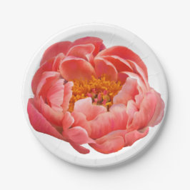 8紙プレートコーラルピーニー ペーパープレート