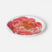 8紙プレートコーラルピーニー ペーパープレート (アングル)