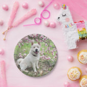 8紙プレートホワイト秋田&マグノリア開花 ペーパープレート (パーティー)