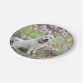 8紙プレートホワイト秋田&マグノリア開花 ペーパープレート (アングル)