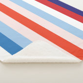 8色の組み合わせ シェルパブランケット (3/4)