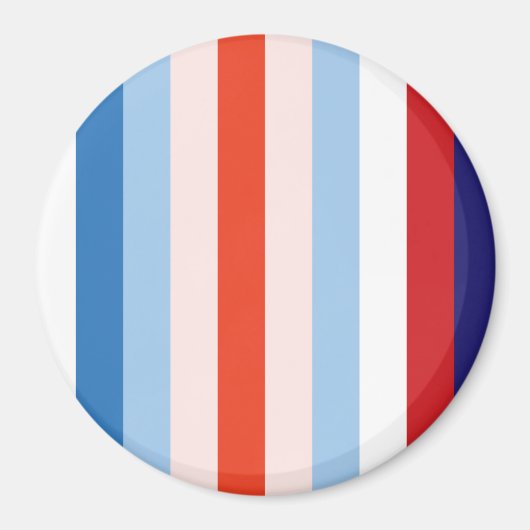 8色の組み合わせ マグネット (正面)