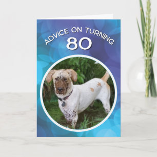80おもしろい誕生日向け泥犬アドバイス カード