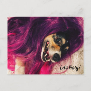 80年代おもしろいパンクロックコルギドッグパーティー インビテーションポストカード