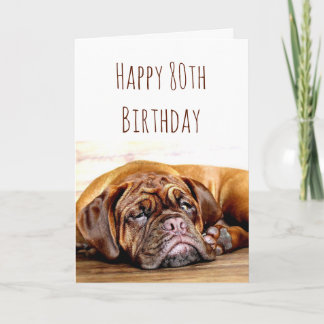 80誕生日悲しい犬がポーシティブユーモアを続ける カード