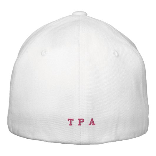 813タンパによって刺繍される球の帽子 刺繍入りキャップ (裏面)