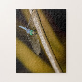 8379 – 青いトンボと葦の池のパズル ジグソーパズル (縦)