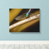 8379-2-Blueトンボ キャンバスプリント (インサイチュ (ウッドフロア))